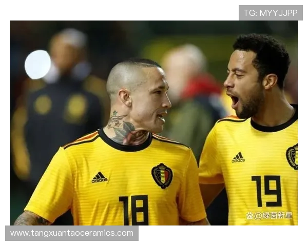 纳因戈兰强调比利时年轻球员潜力 目标是必定晋级世界杯