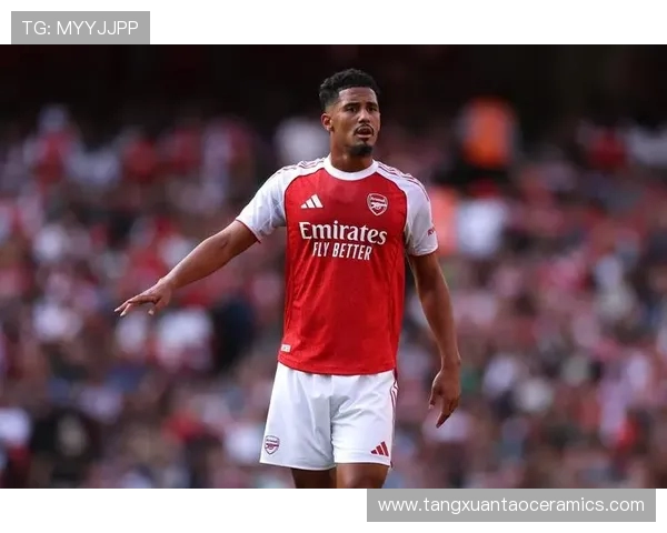 萨利巴坦言皇马邀约令人向往更盼助枪手夺冠实现英伦荣耀 萨利巴坦言皇马邀约令人向往更盼助枪手夺冠实现英伦荣耀